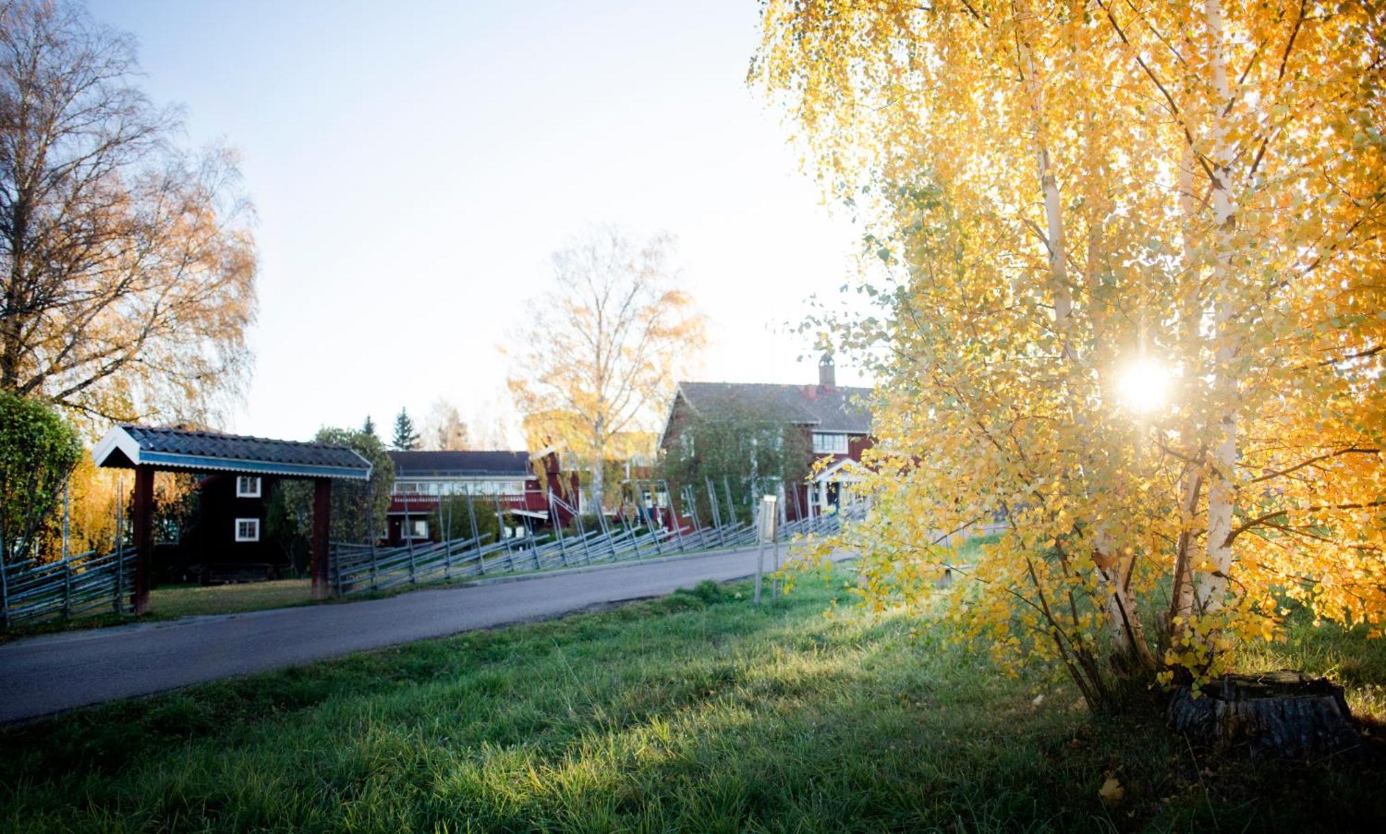 Akerblads Hotell Gaestgiveri Spa Tällberg Exterior foto